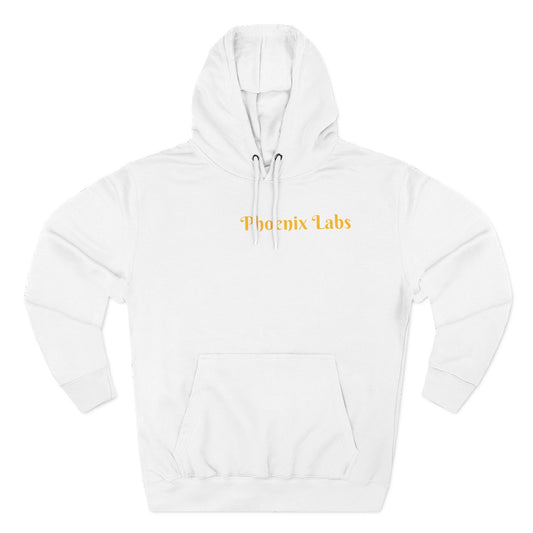 Phoenix Labs Hoodie — "Rise from the Ashes of Destruction" Graphic Fleece Hoodie